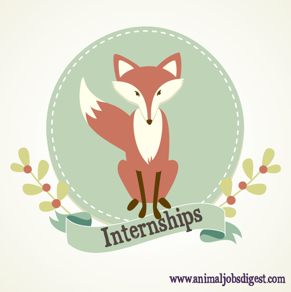 Find the Right Internship for Your Animal Career Animal Jobs Digest